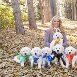 German Shepherd and Golden Retriever Puppies from Sweetheart Therapy Dogs LLC