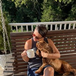 Goldendoodle Puppies from Hilltop Mini and Teddy Bear Doodles