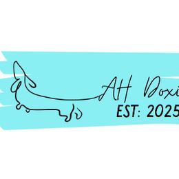 Dachshunds from AH Doxies
