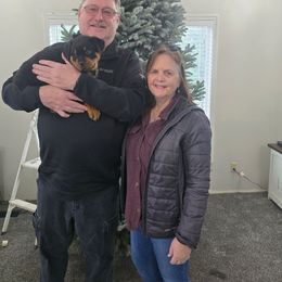 Orange - Black and mahogany male Rottweiler puppy in Lebanon, Oregon from SOUTH SANTIAM ROTTWEILERS