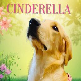 CINDERELLA - Golden Retriever