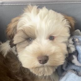  from Tuck’s Farmstead