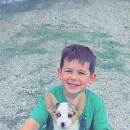 American Corgi and Pembroke Welsh Corgi Puppies from Woodwick Corgis