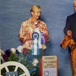 Airedale Terriers from Blue Ridge Airedale's of Virginia