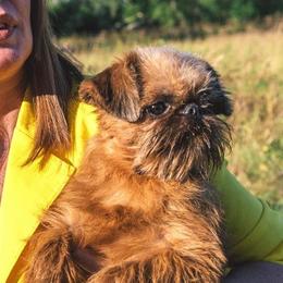 Rhonda - Brussels Griffon