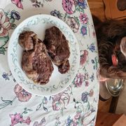 Boykin Spaniels from Bear Creek Boykin Spaniels