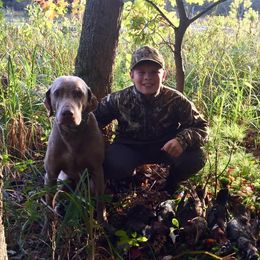 Weimaraner All Grown Up from Timberdoodle Weimaraners