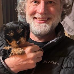 Yorkipoo and Yorkshire Terrier Puppies from Yorkie Oodle Doodle