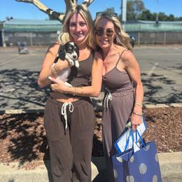 Colby - Black and cream male Dachshund puppy in Lincoln, California from ForeversEdge Doxies