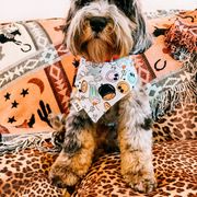 Bronco - Double Doodle