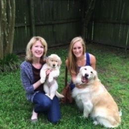 Golden Retriever Puppies from Carova Golden Retrievers