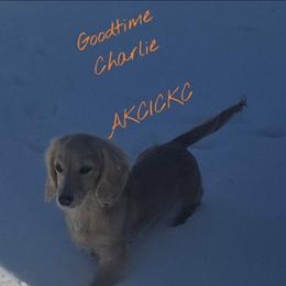 Charlie - Dachshund