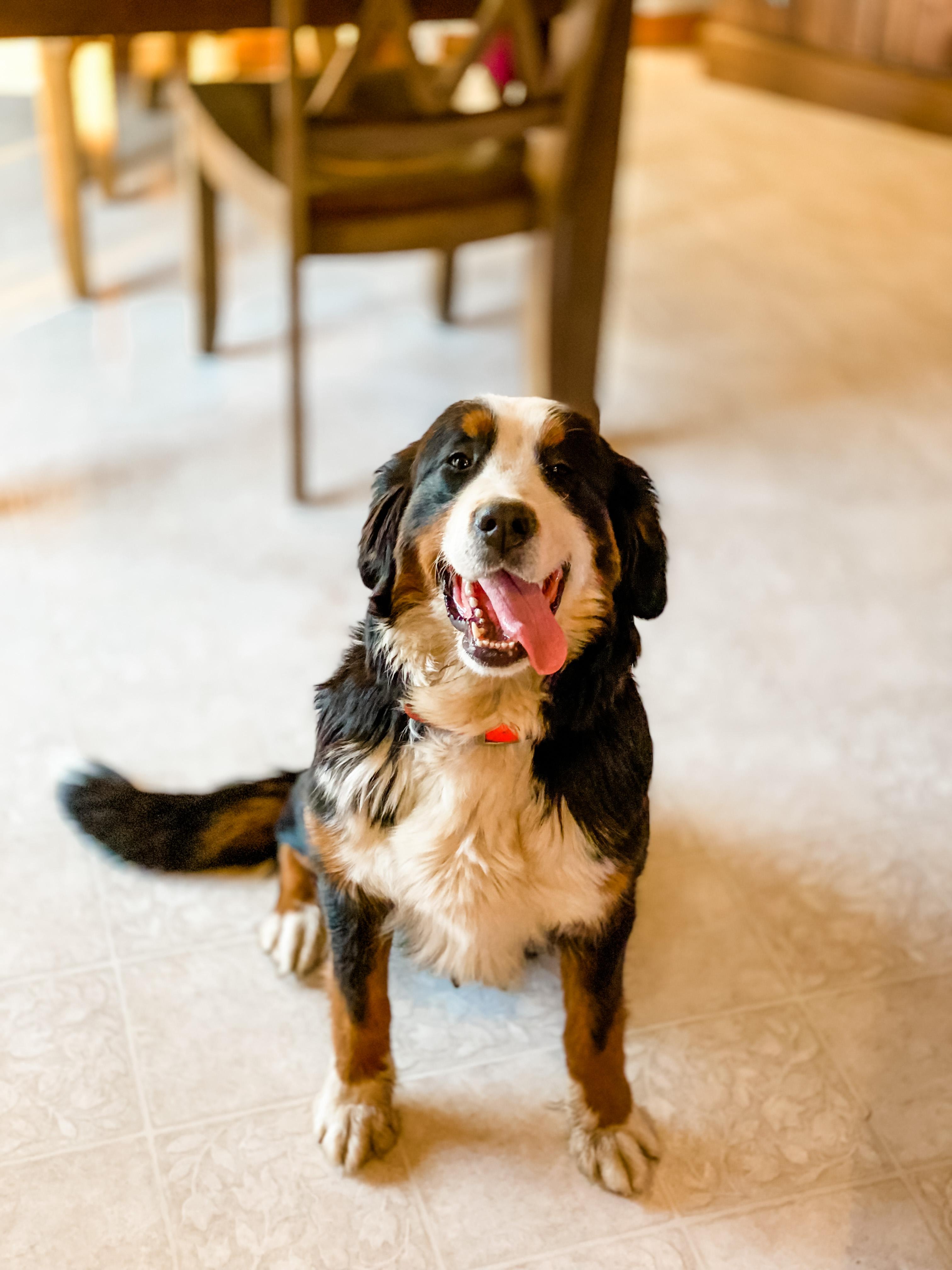 Rosie