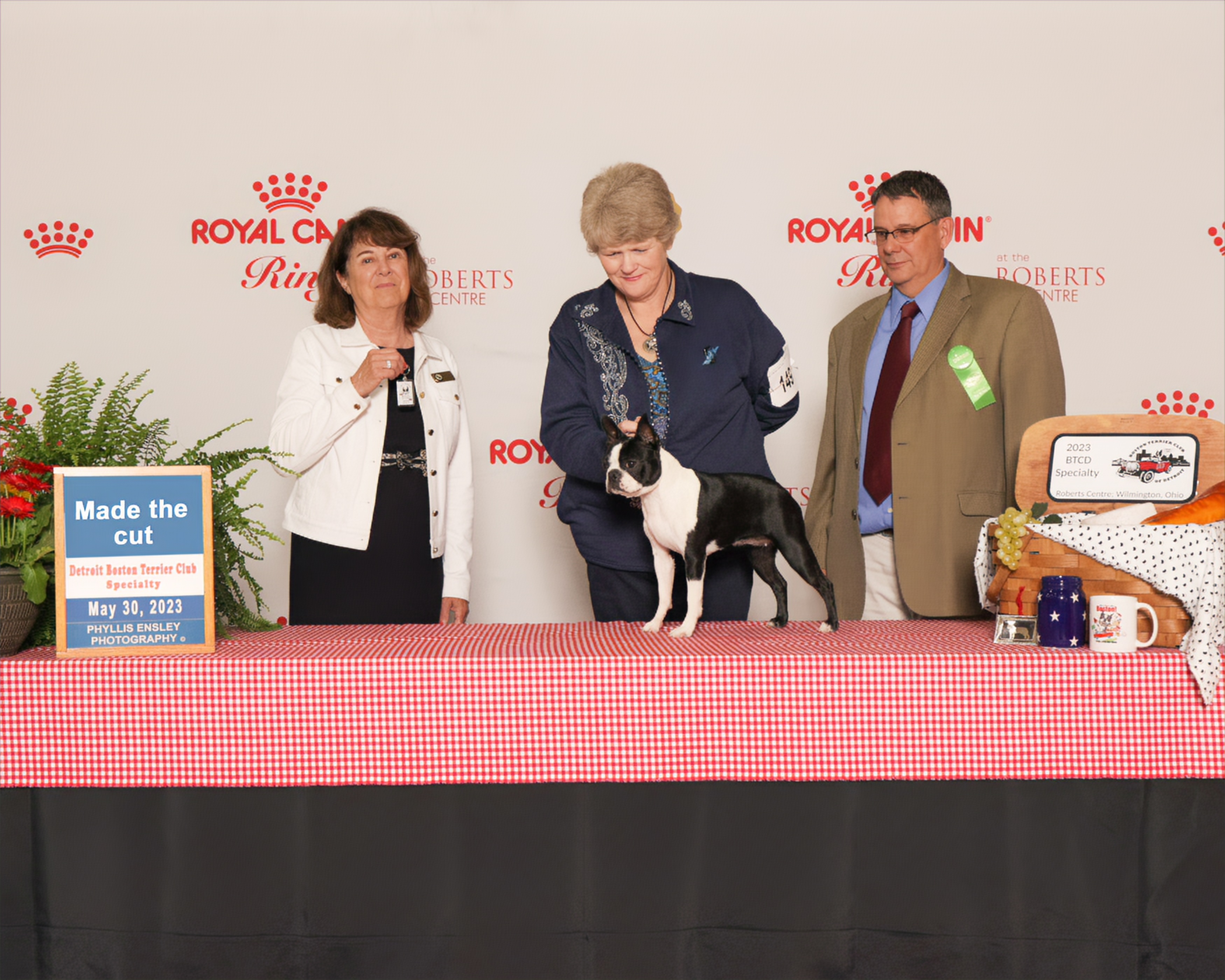 Boston Terriers from Boston Pride