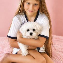 Maltese All Grown Up from Maltese Dollhouse