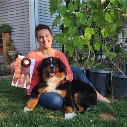 Bernese Mountain Dogs from Neel Haus Berners