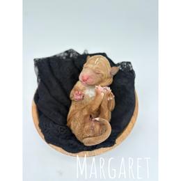 Margret - Red  female Goldendoodle puppy in Smithfield, Kentucky from KBK9 Kennels