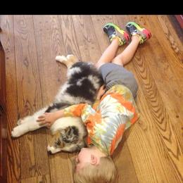 Australian Shepherd Puppies from Kelbrook Farm Australian Shepherds