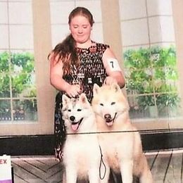 Siberian Huskies from Vibe’s Siberians