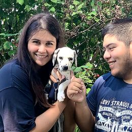 Girl 1 - White and black Dalmatian puppy in Sidney, Ohio from LUA Ohio Dalmatians