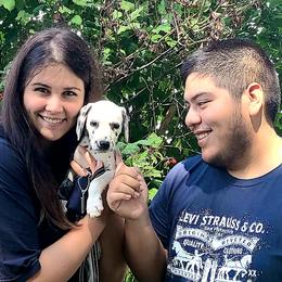 Girl 1 - White and black Dalmatian puppy in Sidney, Ohio from LUA Ohio Dalmatians