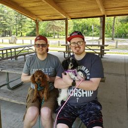 Poodle All Grown Up from M & M Poodles