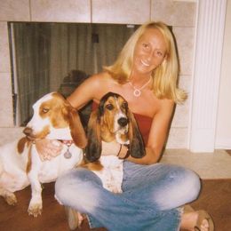 Basset Hound Puppies from Hudson's Hounds