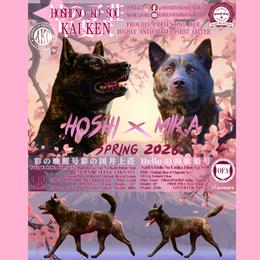 Kai Ken puppies from Hoshi No Ko Sou