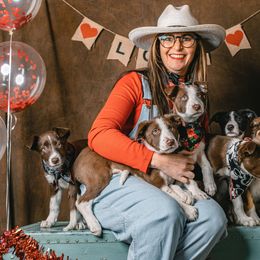 Border Collie Puppies from Rocky Mountain Border Collies