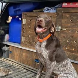 River - German Shorthaired Pointer