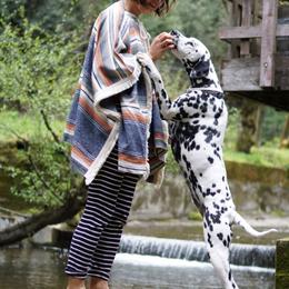 Dalmatian All Grown Up from Gateway Farm Dalmatians