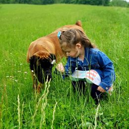 Boerboel Puppies from Fueled Kennel