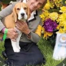 Beagles from Diamond Beagles