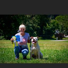 American Bulldog Puppies from Iron Will American Bulldogs