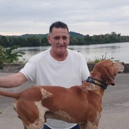 American English Coonhounds from Tri-State English Kennel