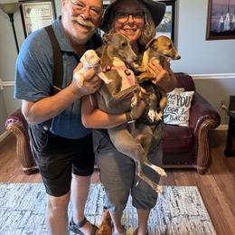 Italian Greyhound Puppies from WAHLTOWAHLIGGYS