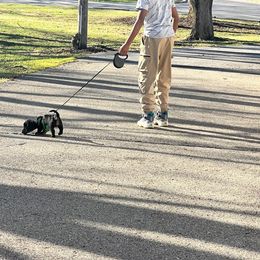 Dachshund All Grown Up from Rissas CrAz Critters