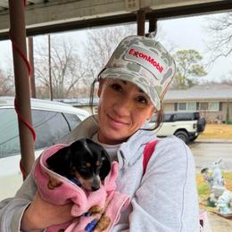 Merrill Girl - Piebald female Dachshund puppy in Irving, Texas from DFW Dachshunds by G & S