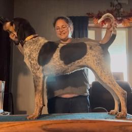 Magnolia - American English Coonhound