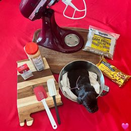 Pink Collar - Brown female Boykin Spaniel puppy in Hurtsboro, Alabama from PARK’s Family Farm