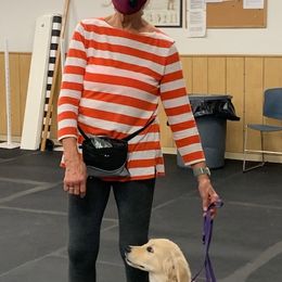 "Training class with young Rian" Golden Retriever Puppies from Kaczara Farm Goldens