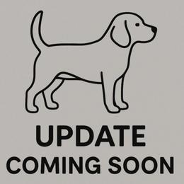 Shelly - Black and white female Beagle puppy in Rose Bud, Arkansas from Rajun Cajun Kennels