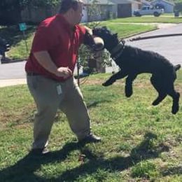 Clyde - Giant Schnauzer