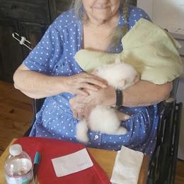 Pomeranian and Pomsky Puppies from Spillman's Specialty Breeding