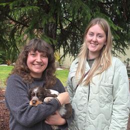 Girl 2 'Lou' - Liver white and tan female English Springer Spaniel puppy in Silverdale, Washington from TimberVale Springers