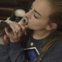 Shih Tzu Puppies from Willow Lane Shih Tzus