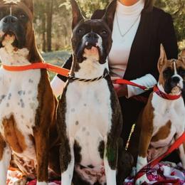Boxers from Bega Boxers