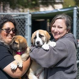 Anatolian Shepherd Dog Puppies from Fiddler’s Dream Anatolians