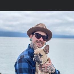 Boston Terrier and French Bulldog Puppies from High Plains Bullies