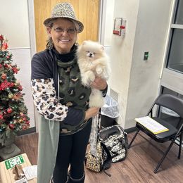 Pomeranian Puppies from Sparkle Plenty Poms